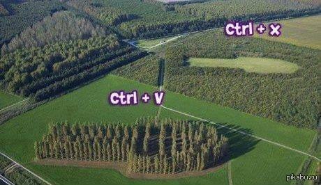   ! 