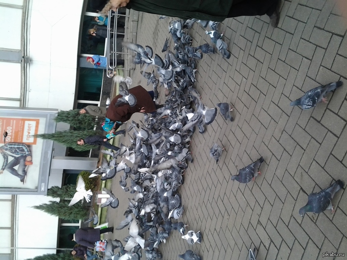 ������ ����=)  ������� �������, ������ �������� ��� ������ ������� �� ��������, ����� ������