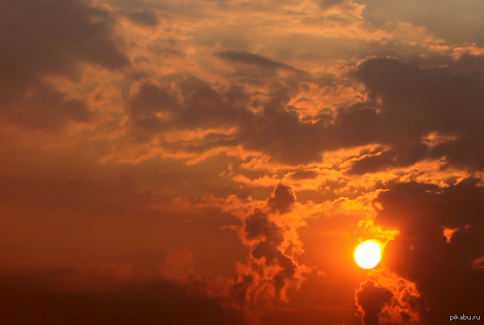 ������� �������