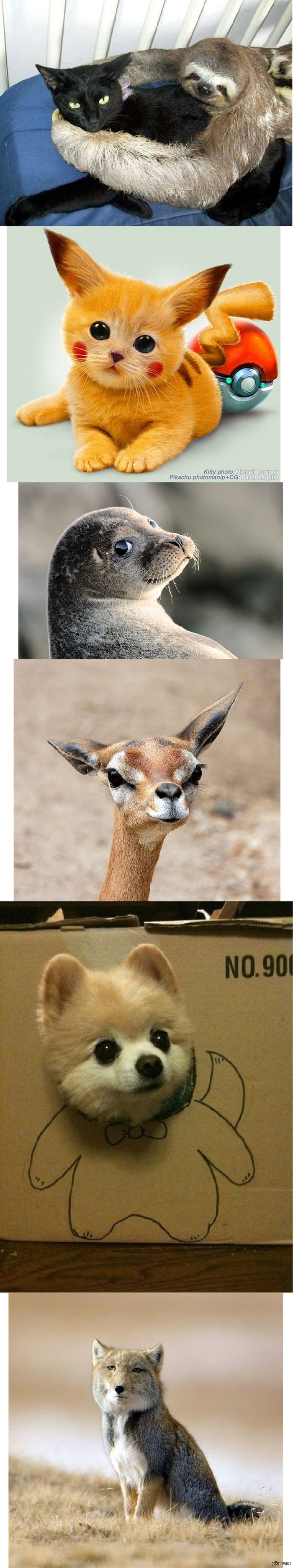 Бобропост с животоне