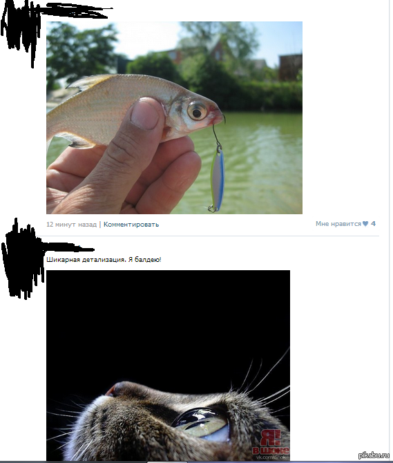 ���������� ������� ������������ ��������)
