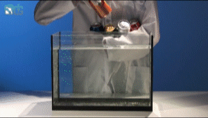 А вы знали, что не каждая банка с газировкой утонет в воде?