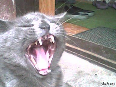 �������� ������ ����  ���=)