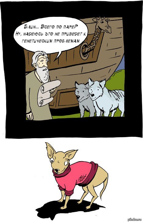 каждой твари по паре