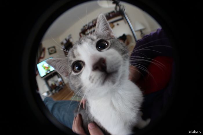 ��� ����� :3