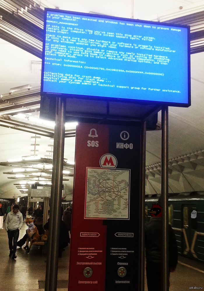 -   Windows     ...    