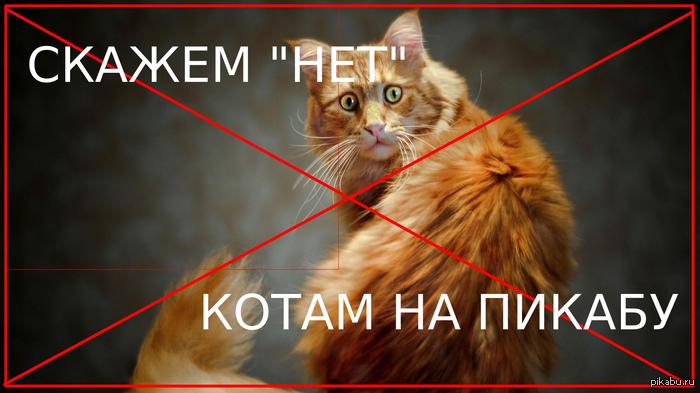 Коты на пикабу нам не нужны!
