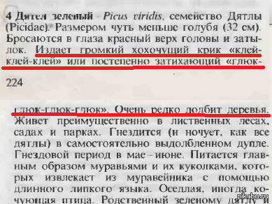 Сижу себе, никого не трогаю, биологию читаю, и ТУТ.... Теперь мне ясно, почему дятел долбит дерево))) - Картинки и фото, Моё