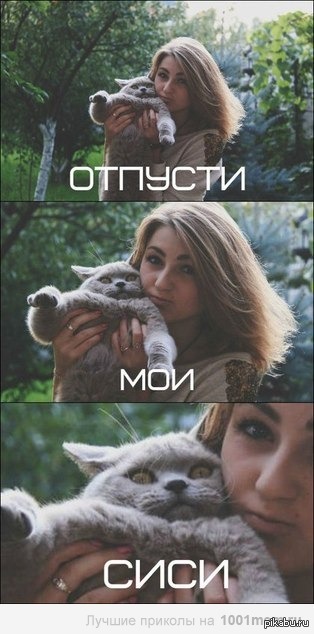 ��������))