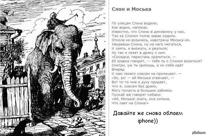 Слон и моська автор. Слон и моська. По улицам слона водили?. По улицам слона водили слон и моська. Слон и моська. Басни.