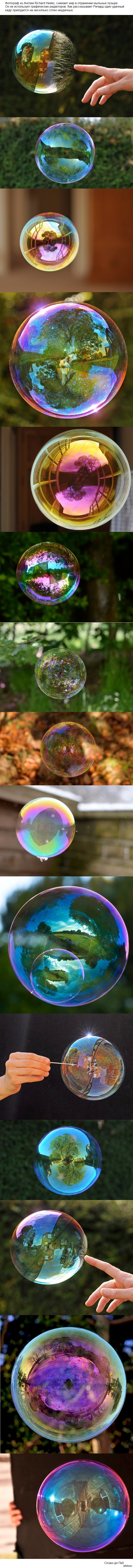 ���� ������� ������� (����������)