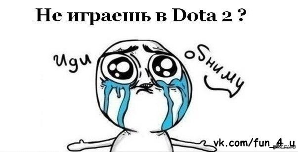 Кого обнять??) | Пикабу