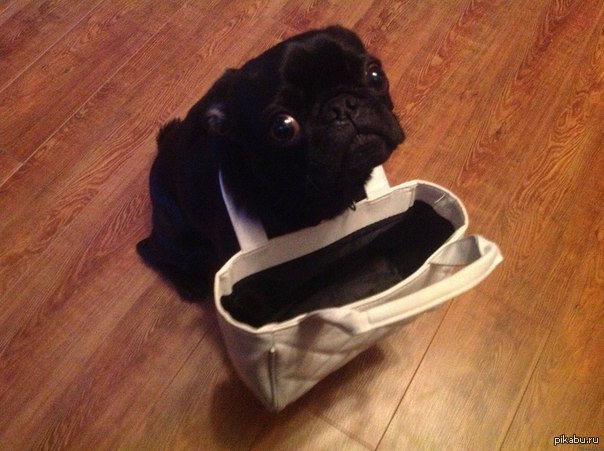 ������� :D