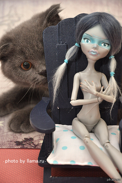 Всем котиков и куколок)