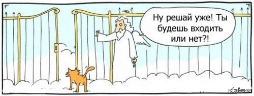 1358877285_616069224.jpg