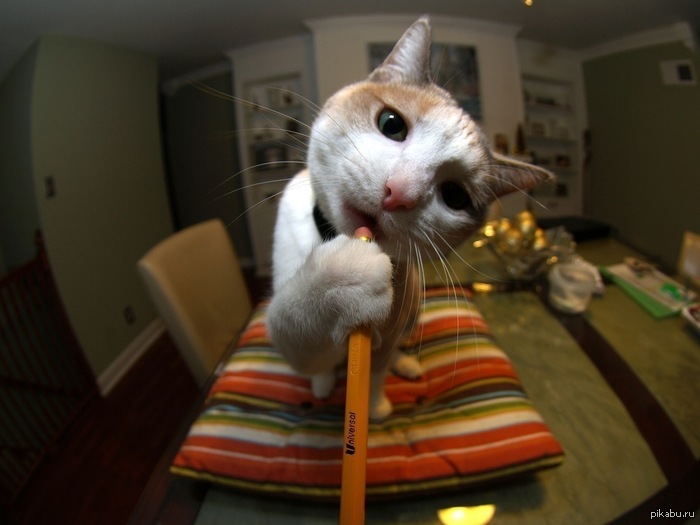 �������