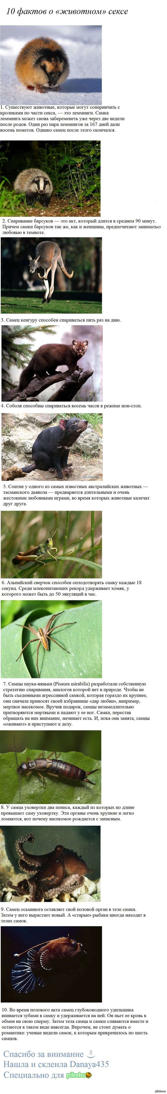 ������ ������ � �������� �����. ����������