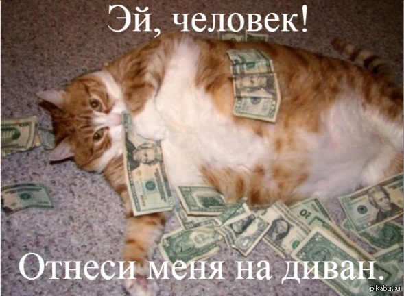 ������ �������...