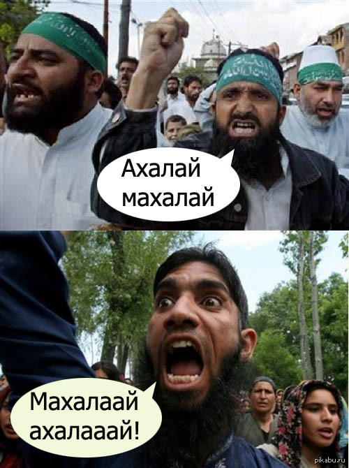 Минутка толерантности на пикабу