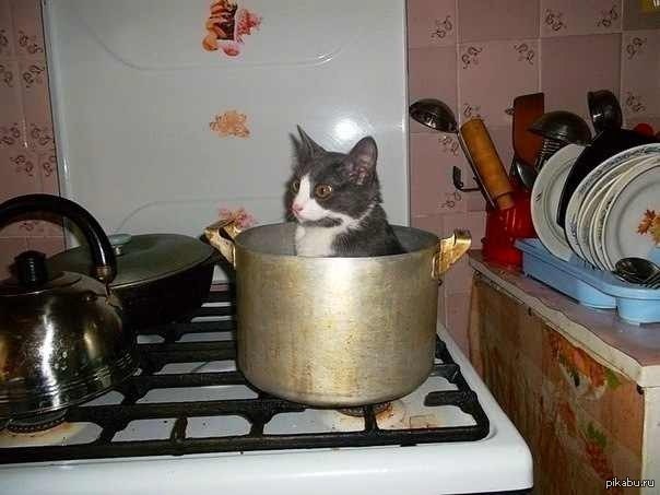 ������������ ����