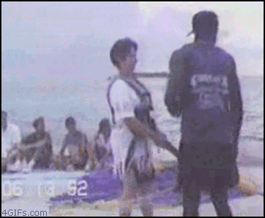 ����������...