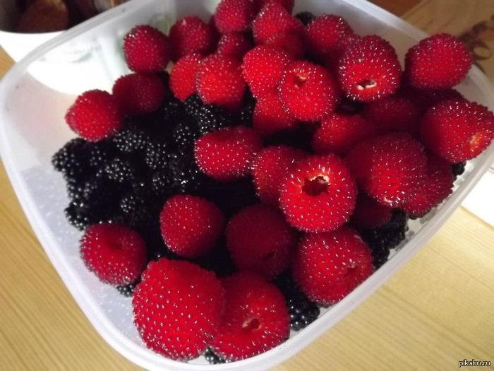 ���������� ��� �� ������?