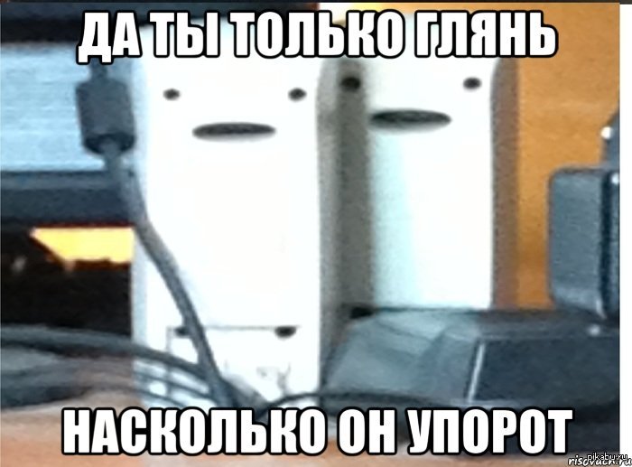 Упорен упорот