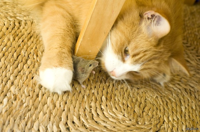 �� � ��� ��� � ����� ������?