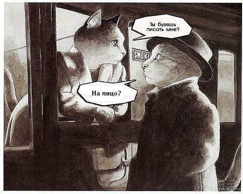 ��� ������