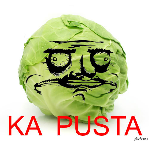 cabbage xD - Pictures and photos