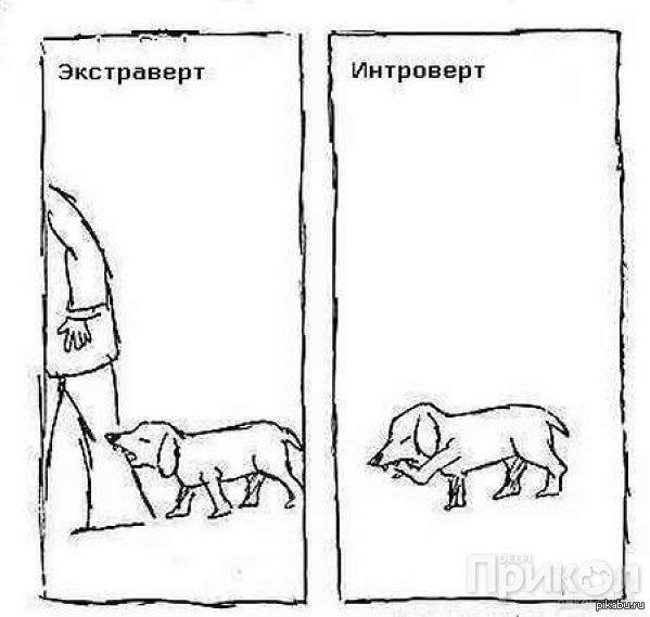 ��� �� ���