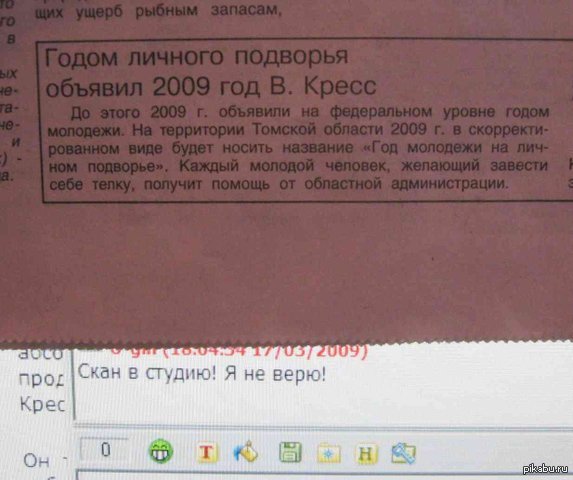 Тёлки нахаляву