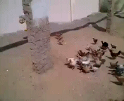   :) 
