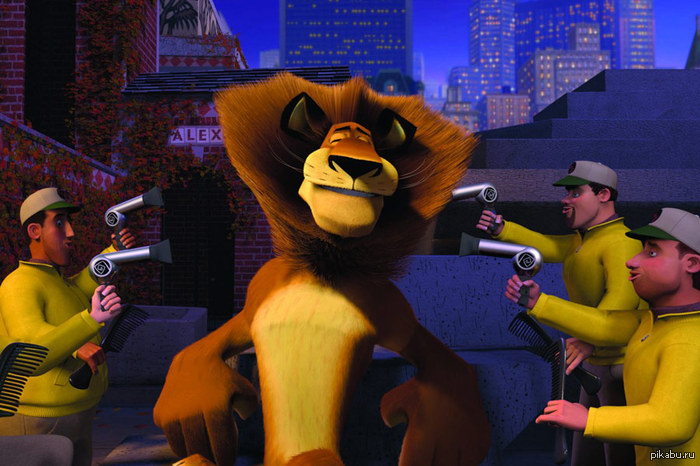 Так я себя чувствую,когда