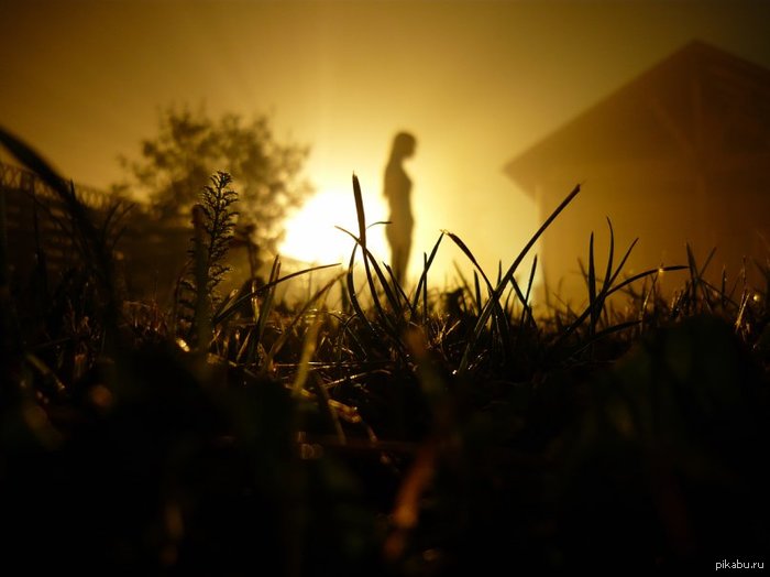 ������ ����