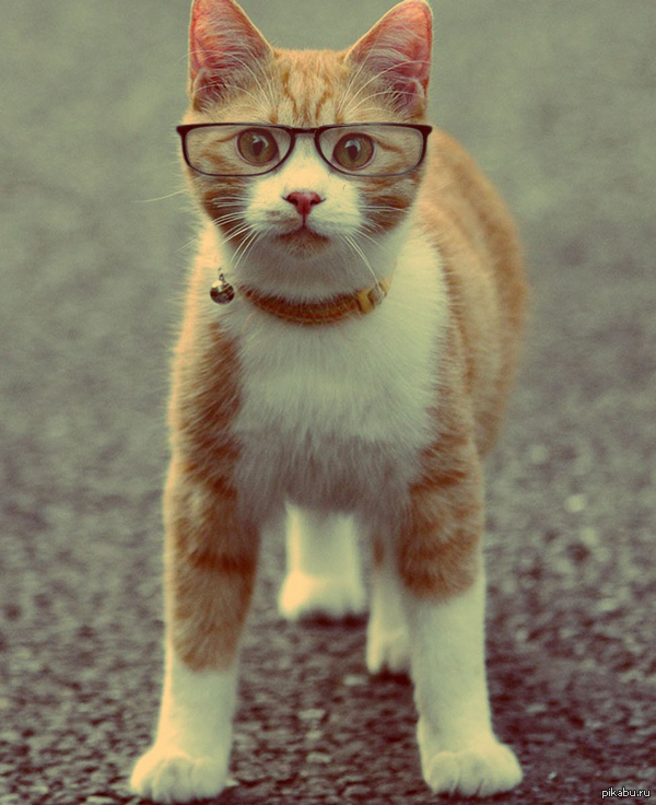 Идёт направо — песнь заводит...