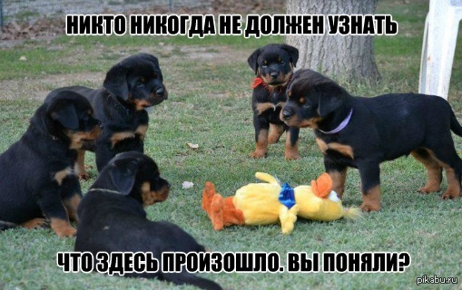 ����� �� ������ ������