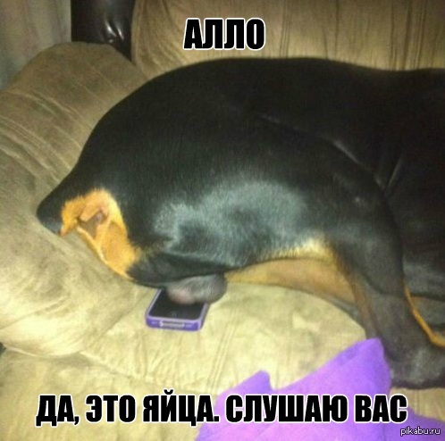 ����� ������ ������