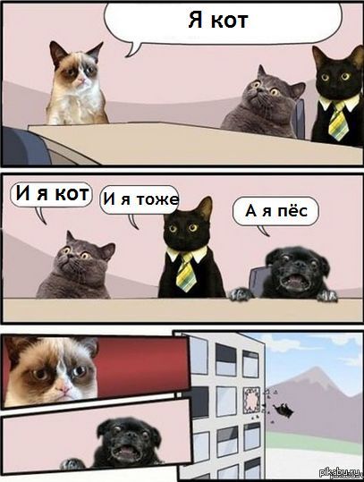 *Да ладно?.jpeg*