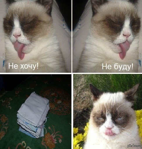 Всегда так!