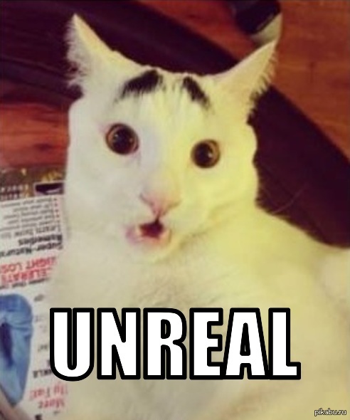 Как вам новый мем с котейкой ?
