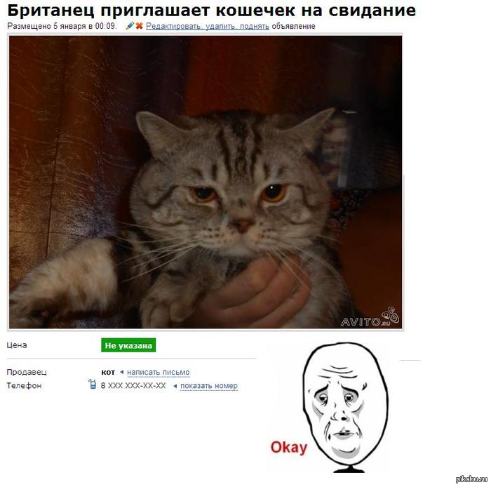 ���� ������� ���������!