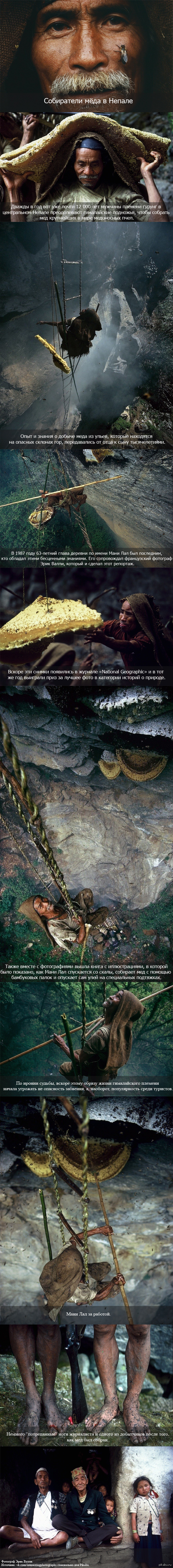 ���������� ����.