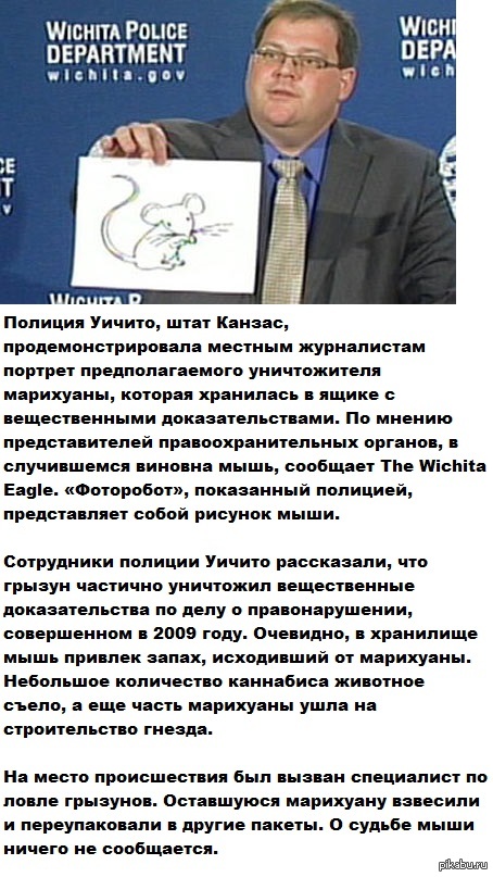 , , , .  - http://lenta.ru/news/2013/01/28/mouse/