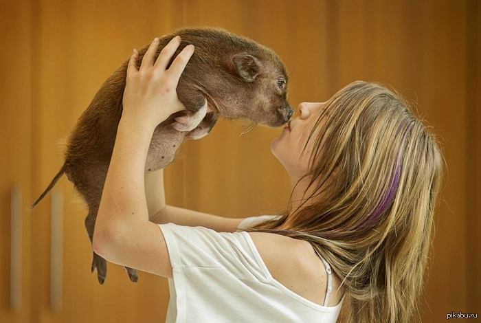 ,  -   + : http://supercoolpics.com/?p=54167