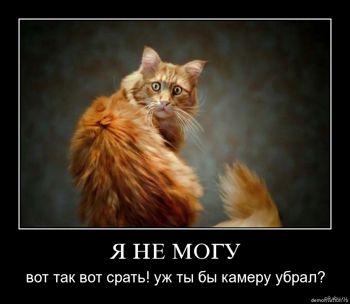 Вот так вот!)) | Пикабу