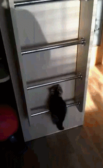     ? ... )) 