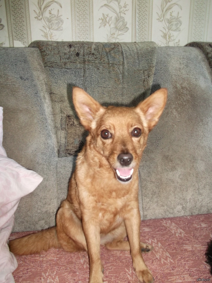 ��� ������