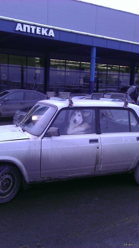 ������� ������, ��!