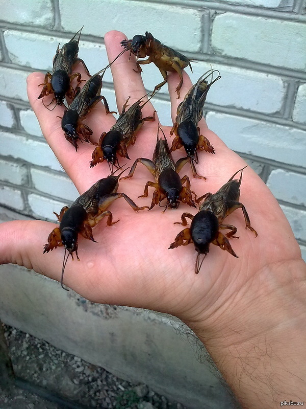 ������� ���������? ����� �� ���� � ���!